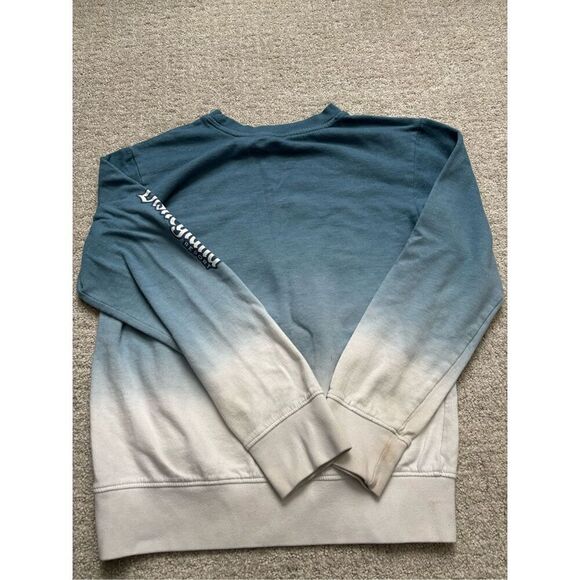 DisneyLand Resort Youth Sweatshirt - Picture 4 of 5